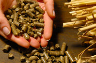 free Hague Bar biomass boiler quotes